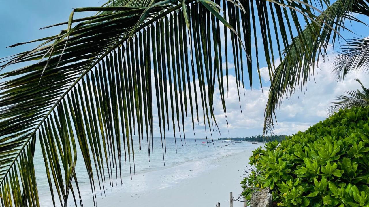 Palumboreef Beach Resort Uroa Esterno foto